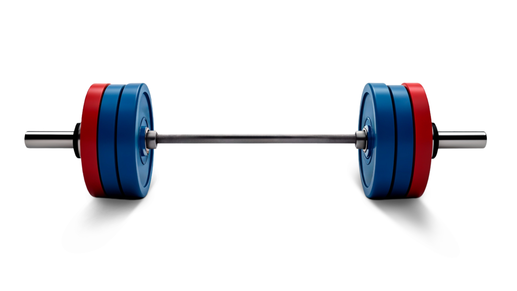 Barbell loaded with red and blue weight plates on both sides for strength training.